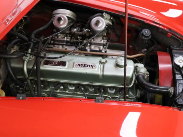 Austin-Healey 3000 Mk III (BJ8)
