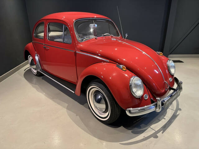 Image 1/20 of Volkswagen Beetle 1200 Standard &quot;Dickholmer&quot; (1963)