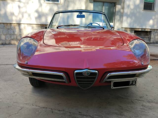 Image 1/9 of Alfa Romeo 1600 Spider Duetto (1966)