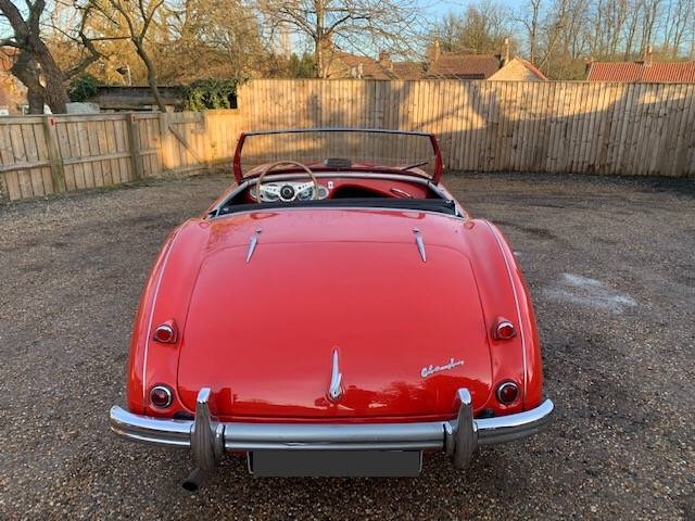 Austin-Healey 100/4 (BN1)