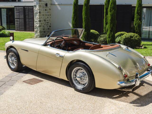 Austin-Healey 3000 Mk II (BJ7)
