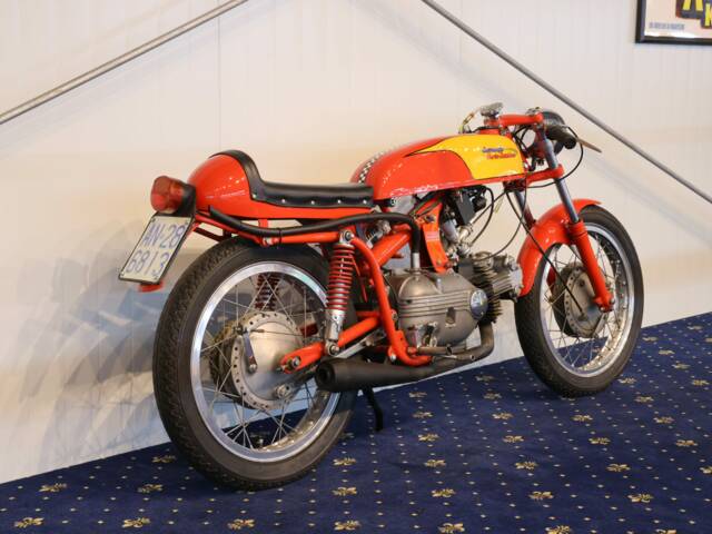 Aermacchi Ala Verde