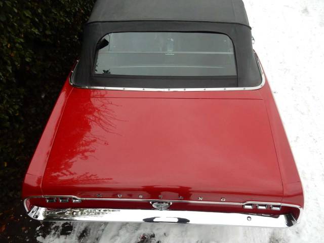 Ford Mustang 289