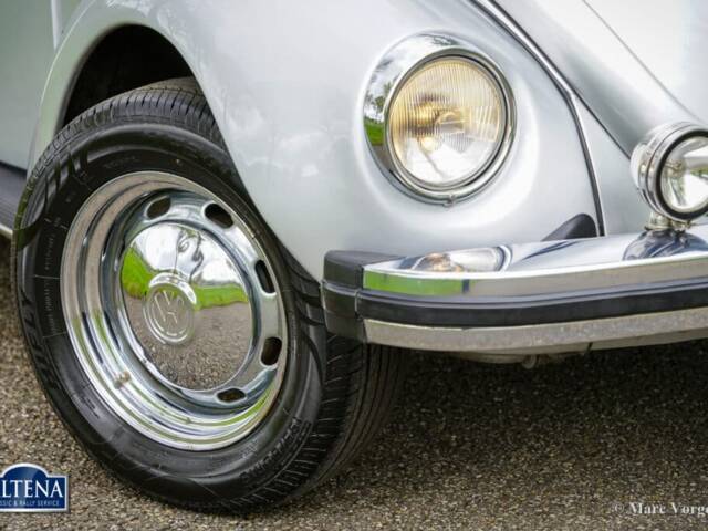 Volkswagen Beetle 1303