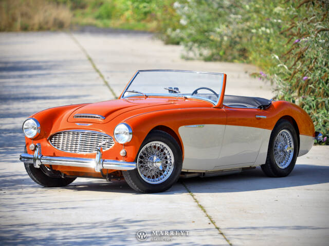 Imagen 1/40 de Austin-Healey 3000 Mk I (BN7) (1959)