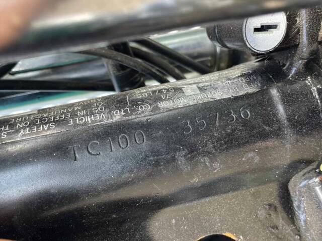 Suzuki TS 100