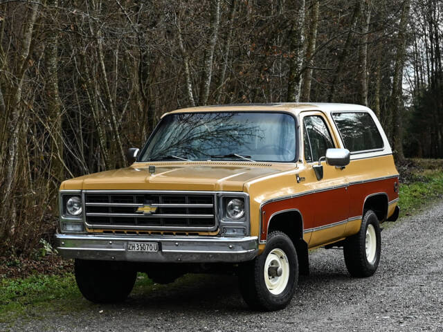 Image 1/40 of Chevrolet Blazer (1980)