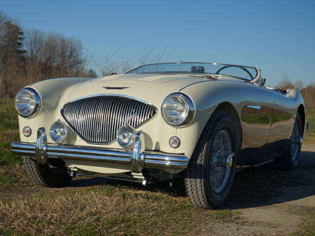 Austin-Healey 100/4 (BN2)