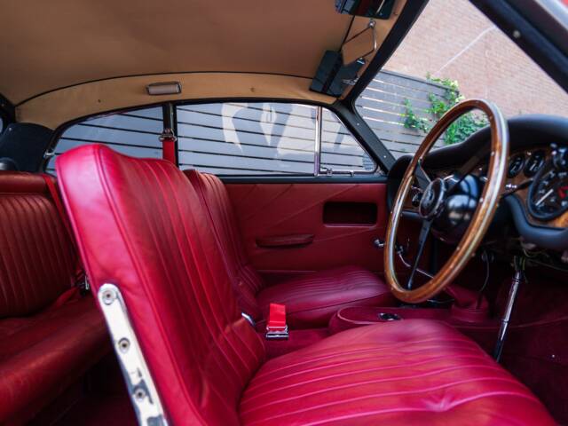 AC Greyhound