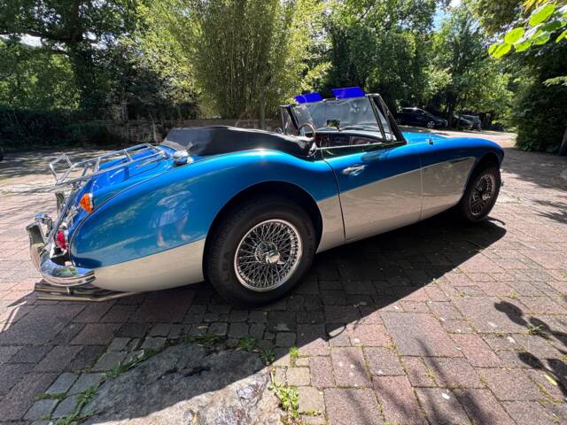 Austin-Healey 3000 Mk III (BJ8)