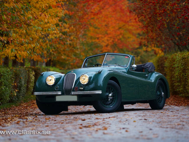 Afbeelding 1/23 van Jaguar XK 120 DHC (1954)