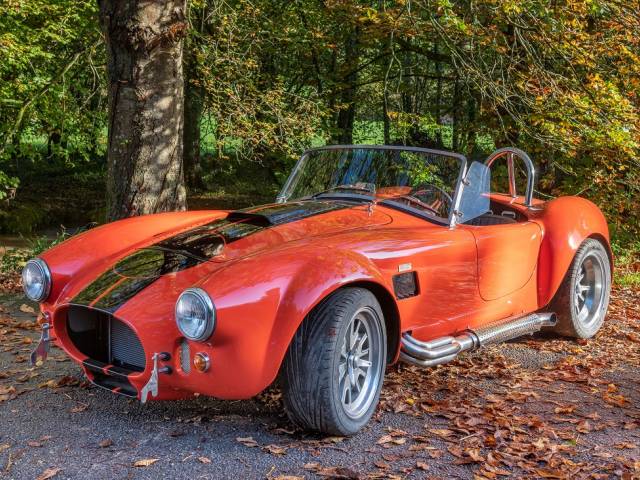 Bild 1/12 von Backdraft Cobra (2007)