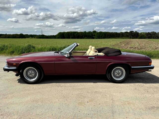 Jaguar XJS 5.3 V12