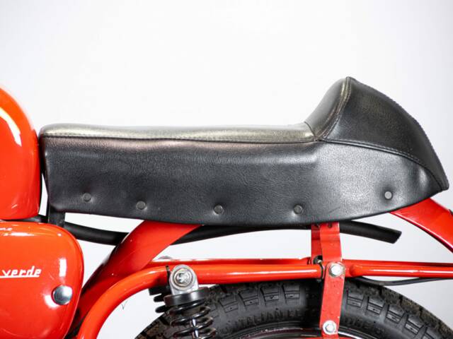 Aermacchi Ala Verde
