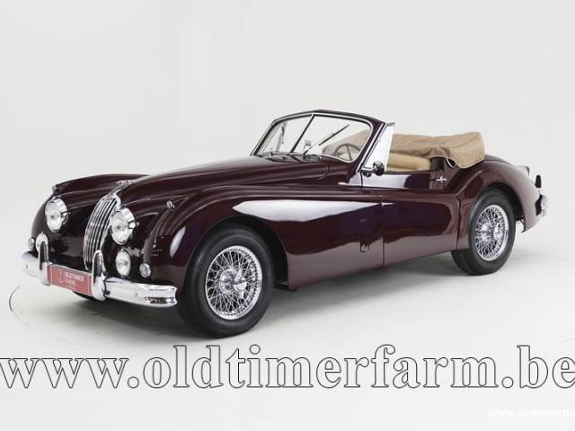 Image 1/15 of Jaguar XK 140 SE DHC (1957)