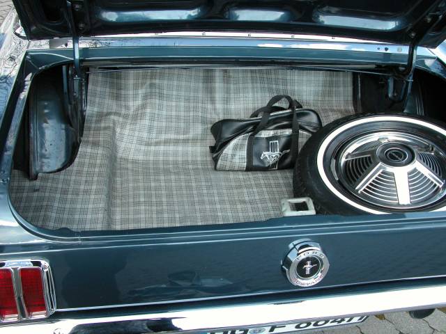 Ford Mustang 289
