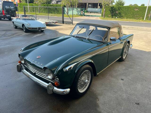Bild 1/7 von Triumph TR 4A (1966)