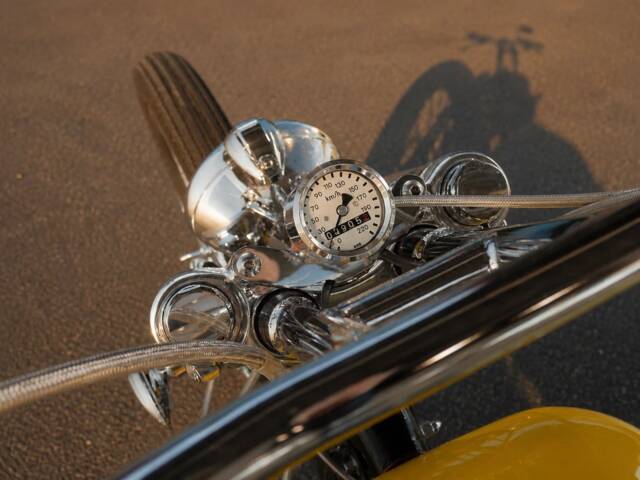 Harley-Davidson Easy Rider Billy Bike