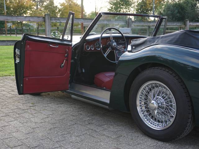 Austin-Healey 3000 Mk III (BJ8)