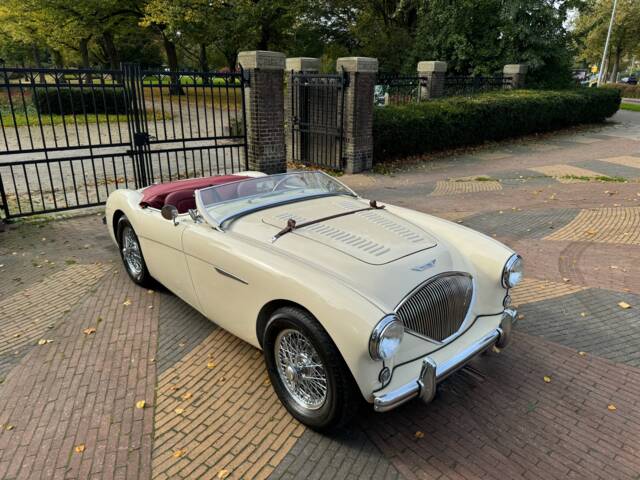 Imagen 1/5 de Austin-Healey 100/4 (BN2) (1955)