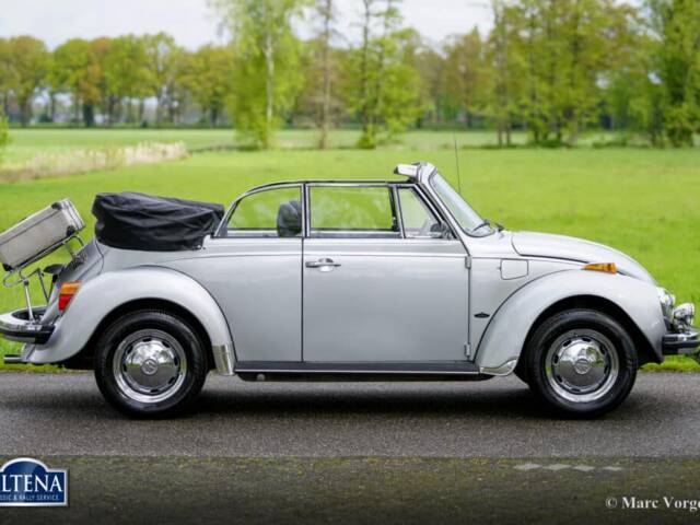 Volkswagen Beetle 1303