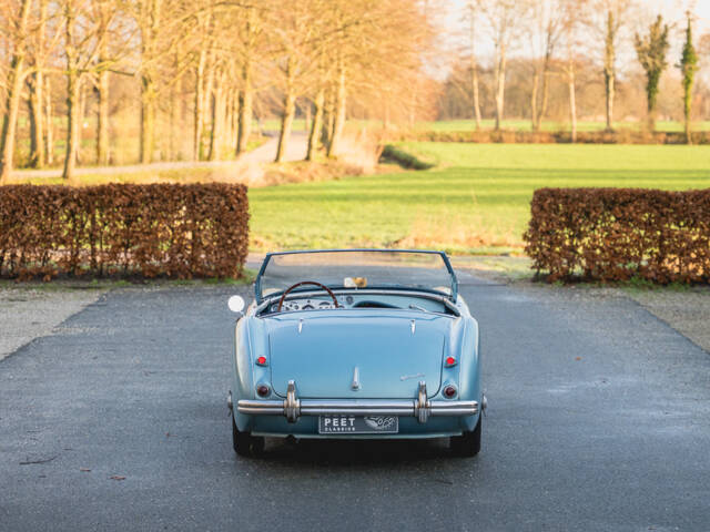 Austin-Healey 100/4 (BN1)