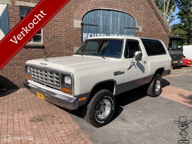 Bild 1/28 von Dodge Ramcharger (1985)
