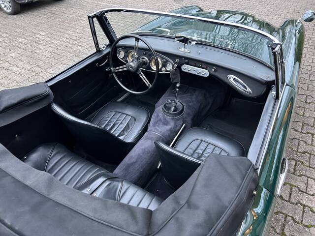 Austin-Healey 3000 Mk II (BJ7)