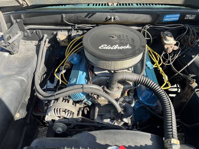 Dodge D 100