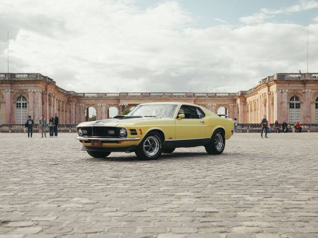 Image 1/13 of Ford Mustang Mach 1 (1970)
