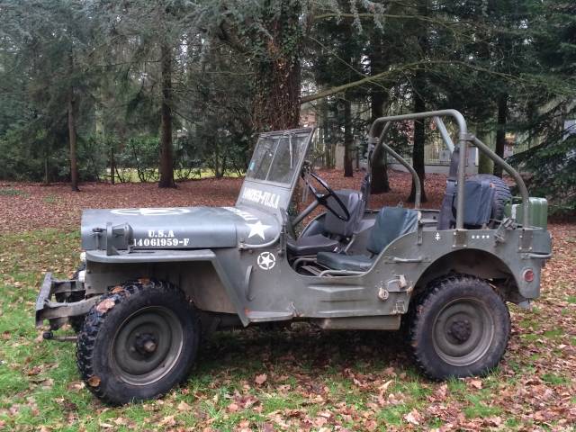 Afbeelding 1/15 van Hotchkiss M 201 (1964)
