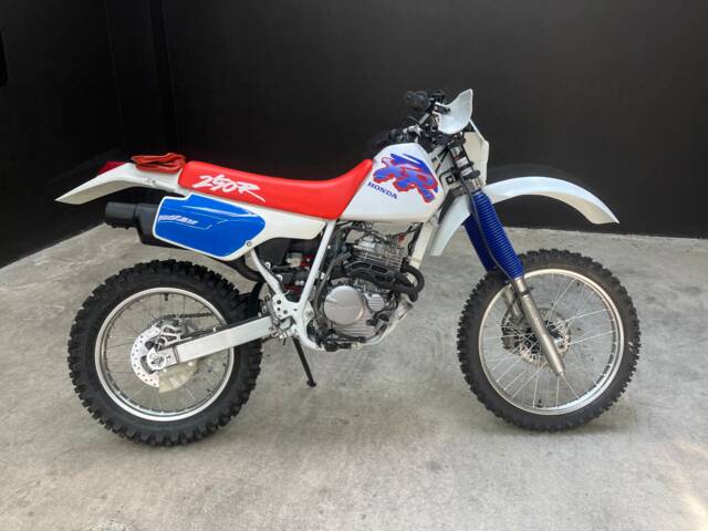 Honda XR 250 R