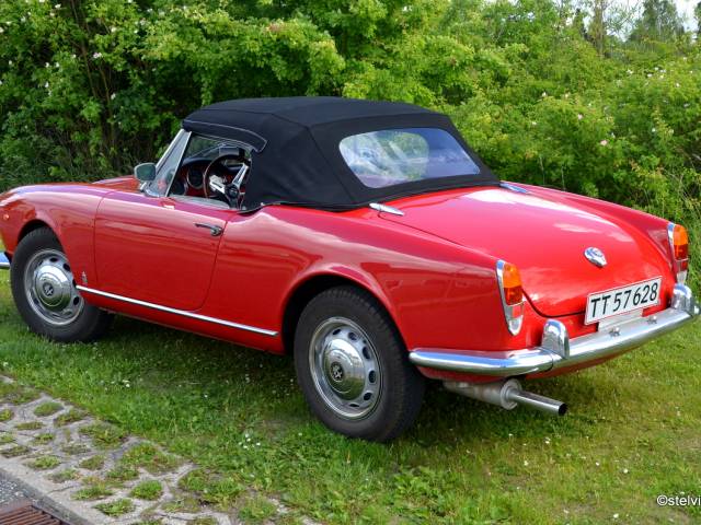 Alfa Romeo Giulia 1600 Spider