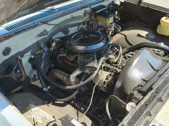 Chevrolet C10 Fleetside