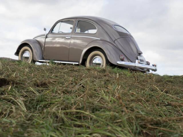 Afbeelding 1/79 van Volkswagen Kever 1200 Export &quot;Ovaal&quot; (1954)