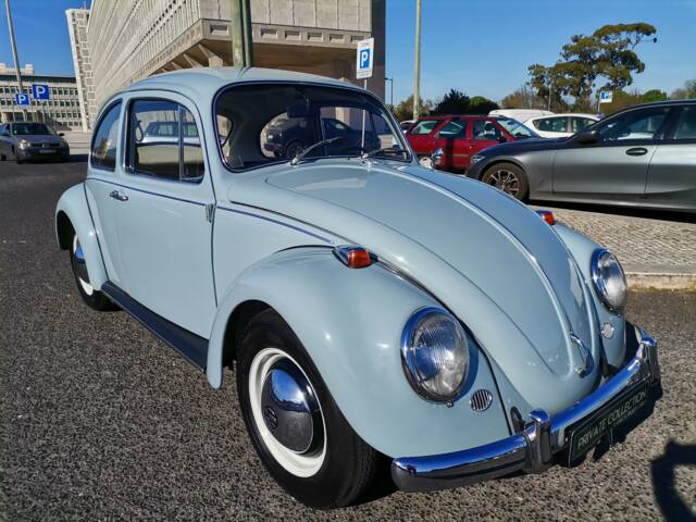 Image 1/80 of Volkswagen Beetle 1200 (1965)