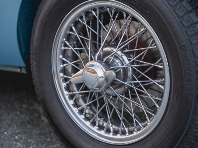 Austin-Healey 100/4 (BN1)
