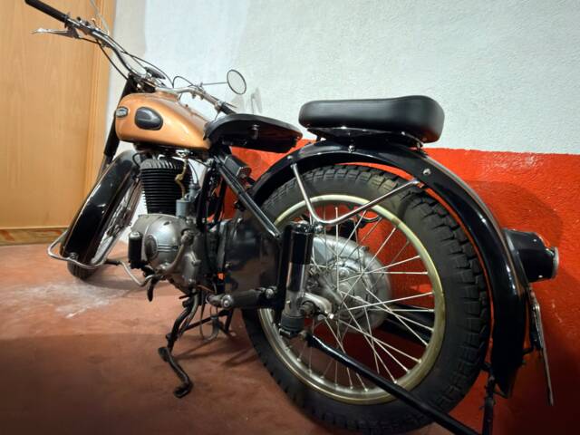 Triumph (TWN) BDG 250 H