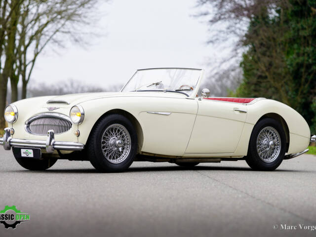 Afbeelding 1/50 van Austin-Healey 3000 Mk II (BT7) (1961)