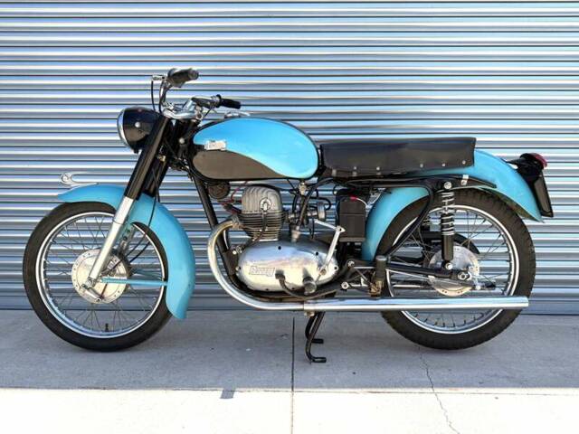 Berneg Fario 175