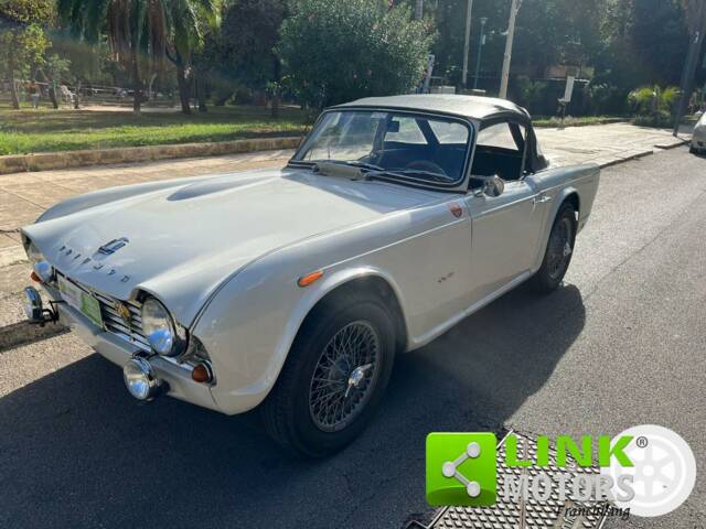 Imagen 1/10 de Triumph TR 4 (1963)