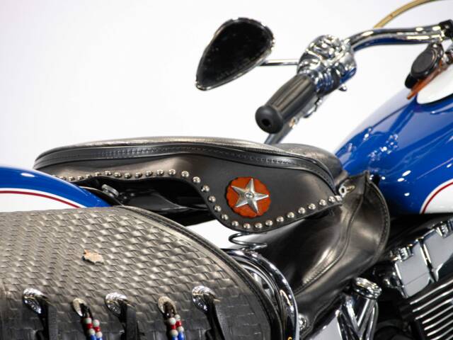Harley-Davidson FXSTS Softail Springer