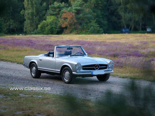 Image 1/18 de Mercedes-Benz 280 SL (1969)