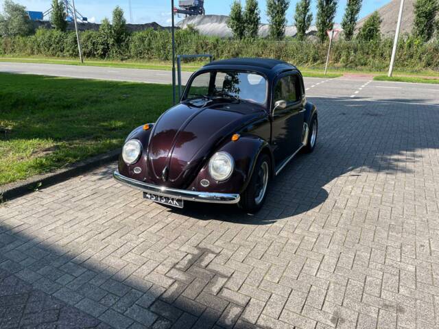 Image 1/10 of Volkswagen Beetle 1200 (1973)