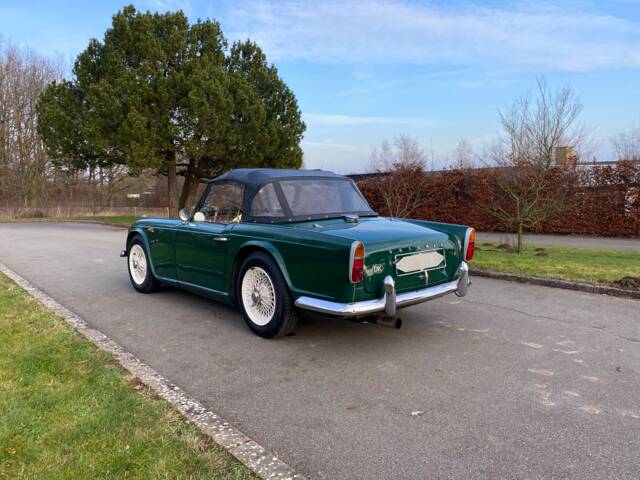 Triumph TR 4