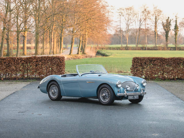 Austin-Healey 100/4 (BN1)