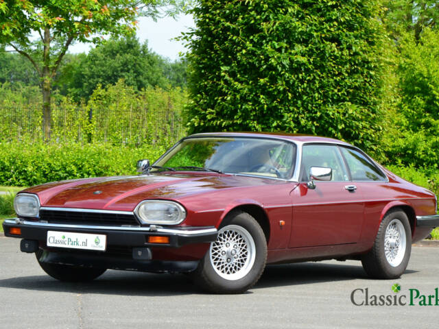 Immagine 1/50 di Jaguar XJS 5.3 V12 (1992)