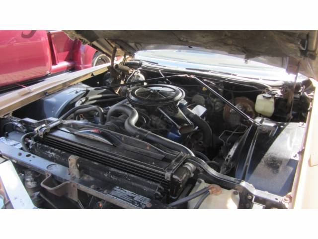 Cadillac Fleetwood Eldorado Convertible