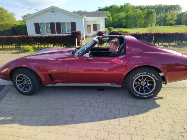 Bild 1/1 von Chevrolet Corvette Stingray (1977)