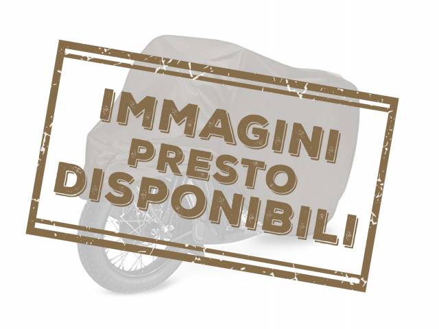 Immagine 1/18 di BSA DUMMY (1958)